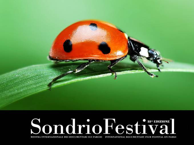 Sondrio Festival 2019