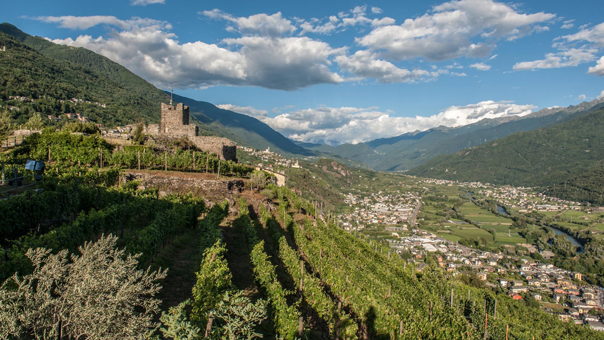 Media Valtellina