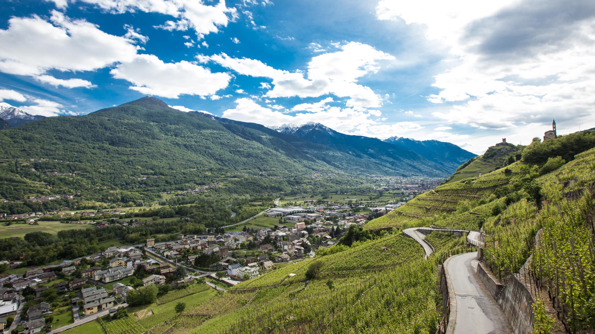 Strada dei vini