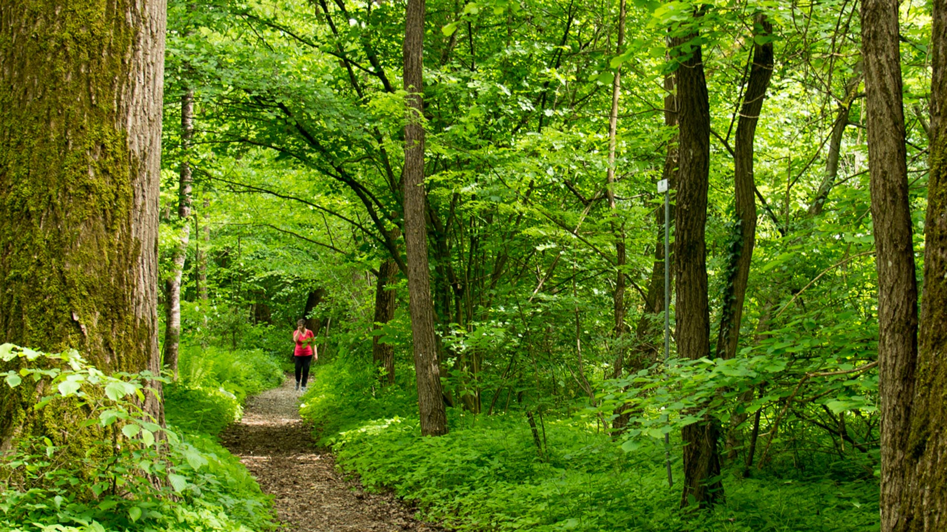 Randonne et promenades