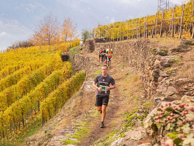 Valtellina Wine Trail