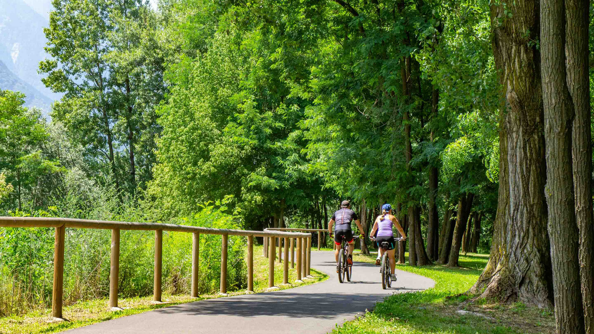 Bike Tour