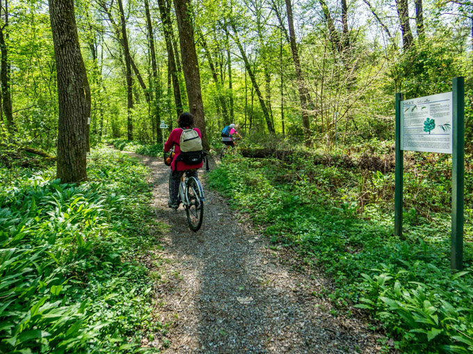 Wine Bike Tour 3 - Natura