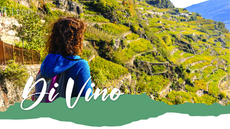 Percorso DiVino – Tappa 3