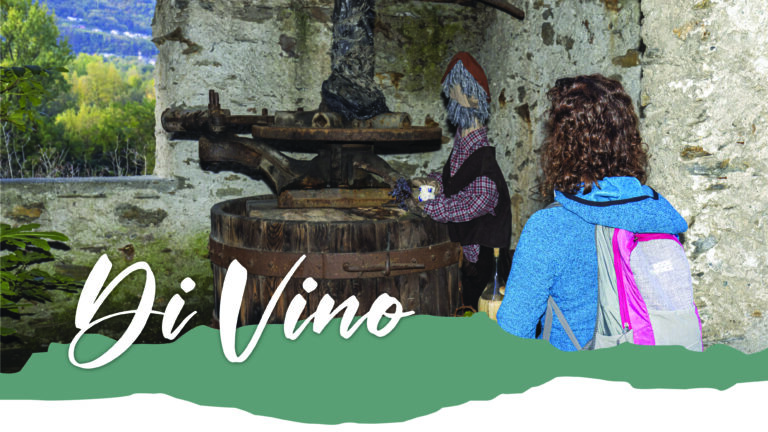 Percorso DiVino – Tappa 5