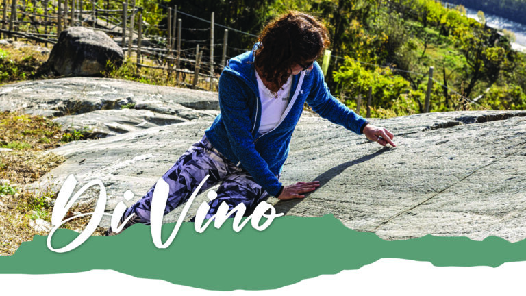 Percorso DiVino – Tappa 6