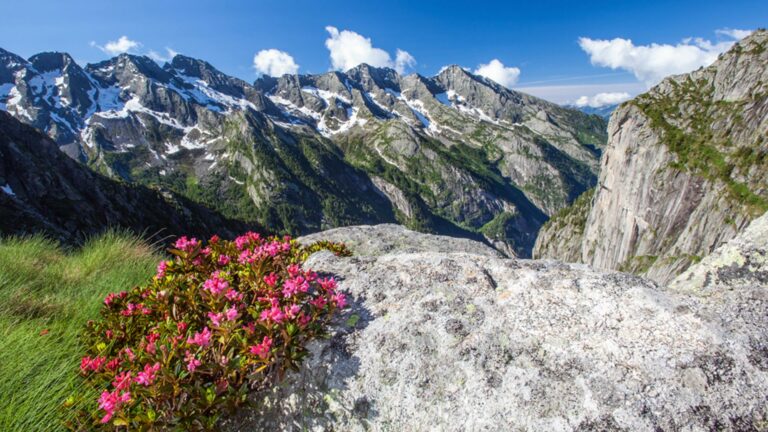 Valmasino e Val di Mello