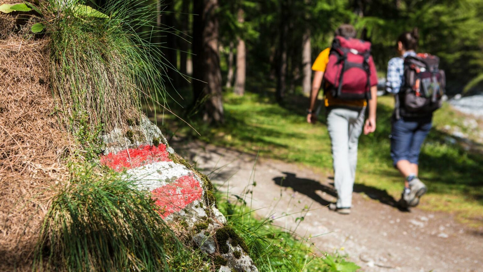 Passeggiate in montagna