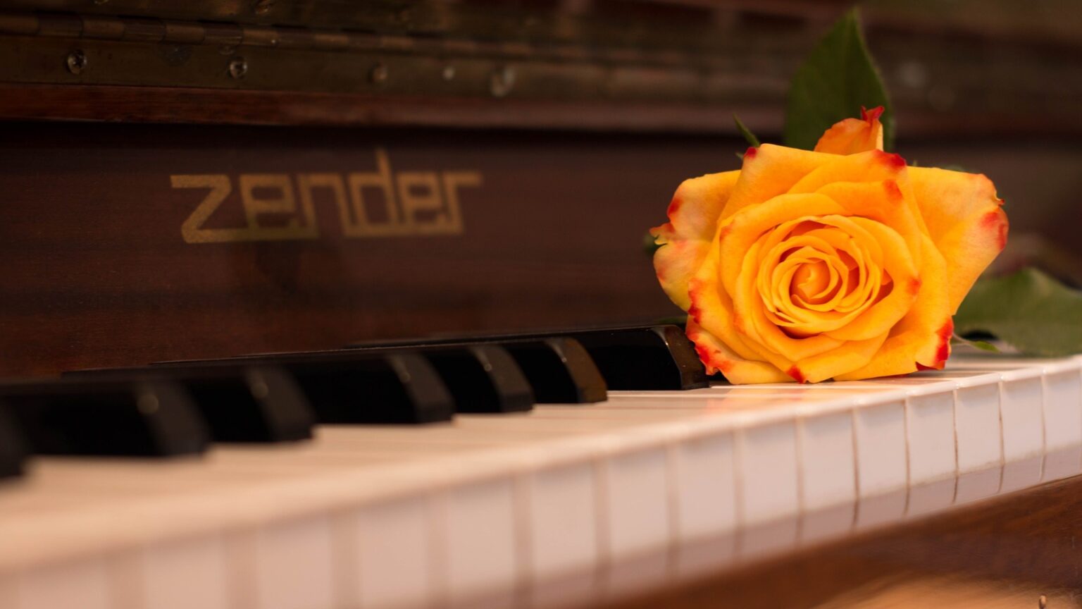 Pianoforte con rosa