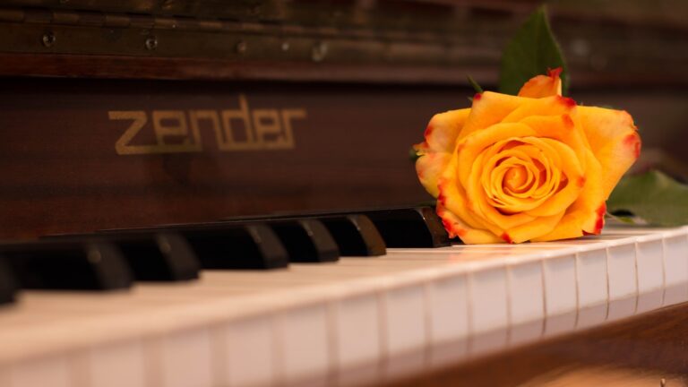 Pianoforte con rosa