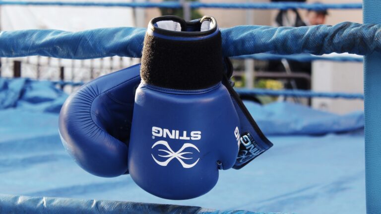Guantoni boxe