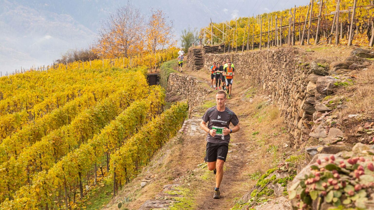 Valtellina Wine Trail