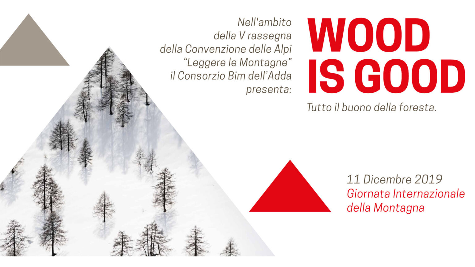 Giornata Internazionale della Montagna