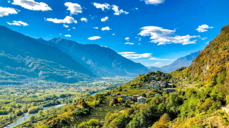 Wine Bike Tour 2 – Adrenalina