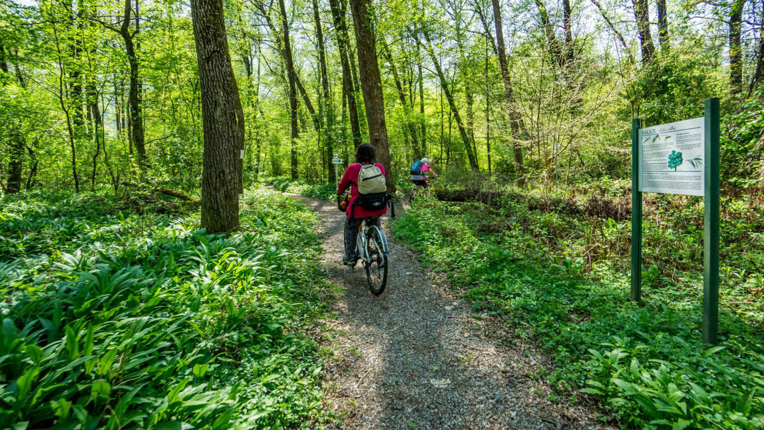 Wine Bike Tour 3 - Natura
