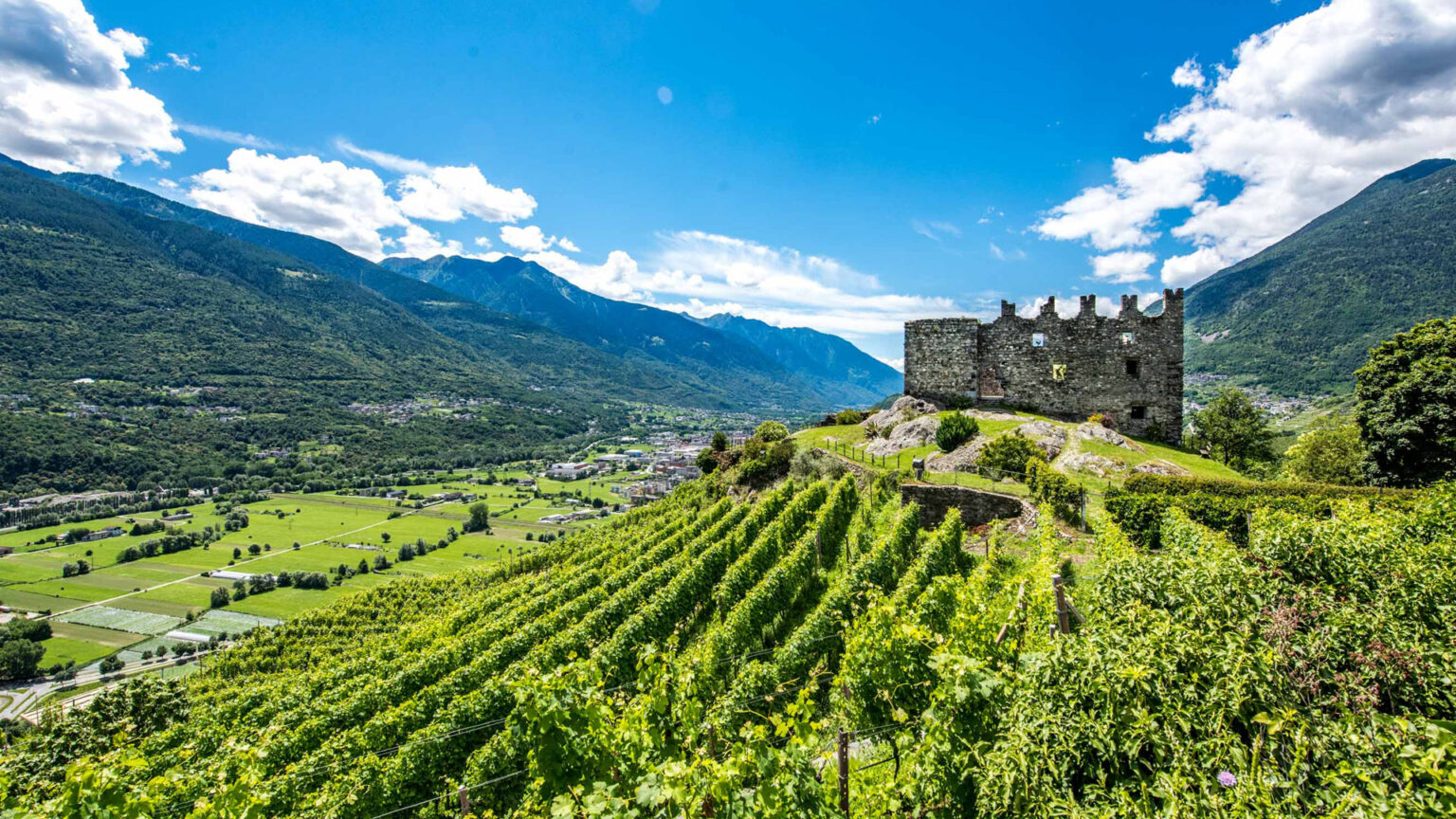 Wine Bike Tour 4- Arte