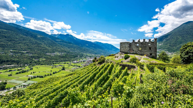 Wine Bike Tour 4 – Arte