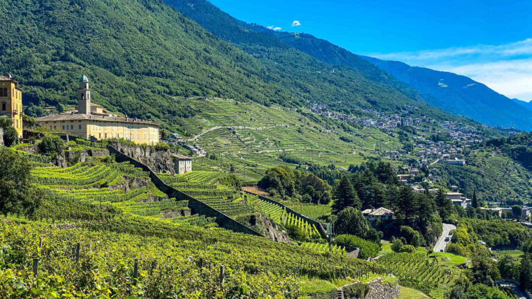 Wine Bike Tour 5 – Frazioni