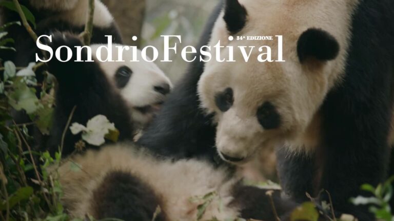 Sondrio Festival 2021