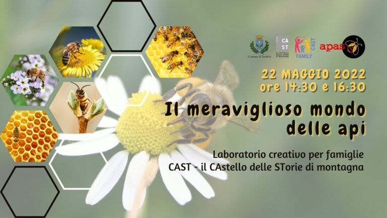 fC Il meraviglioso mondo delle api