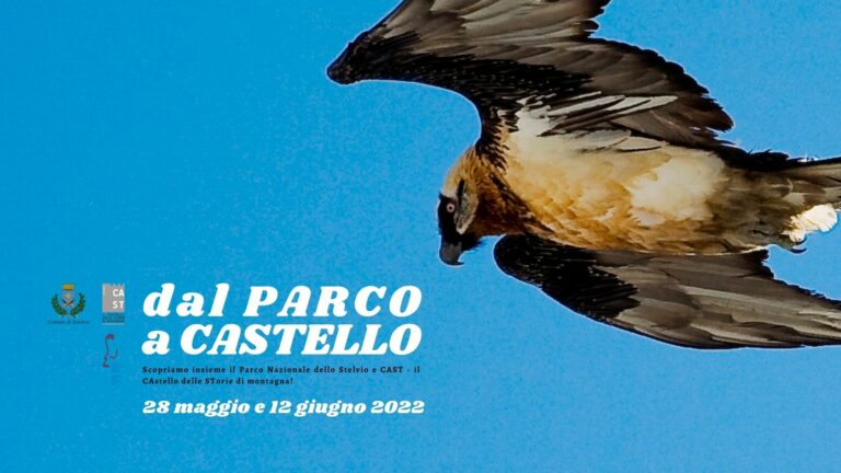 Dal Parco a Castello