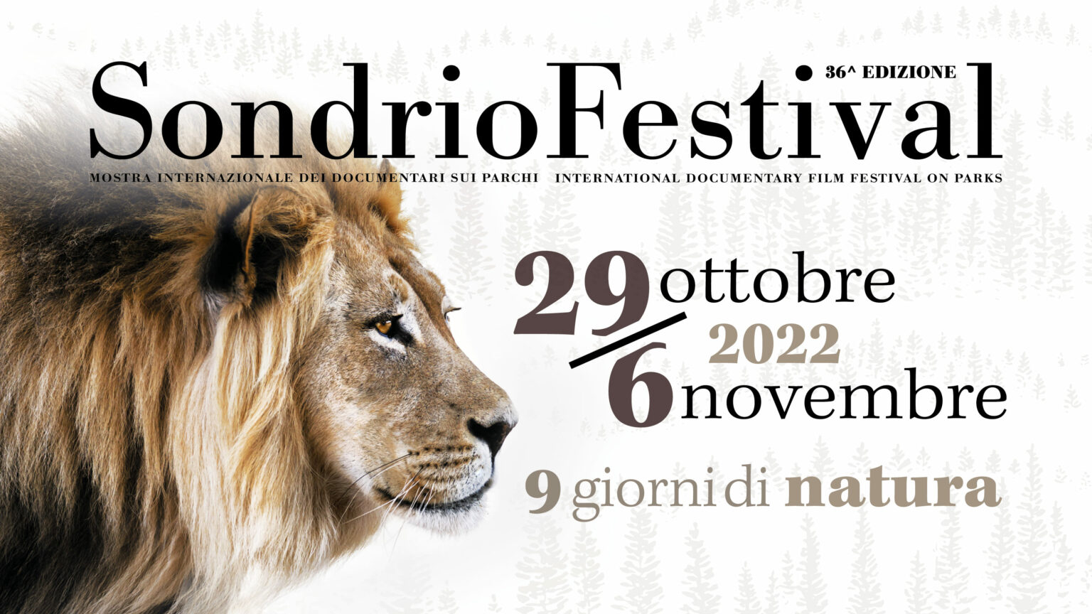 Sondrio Festival 22